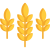 tff wheat